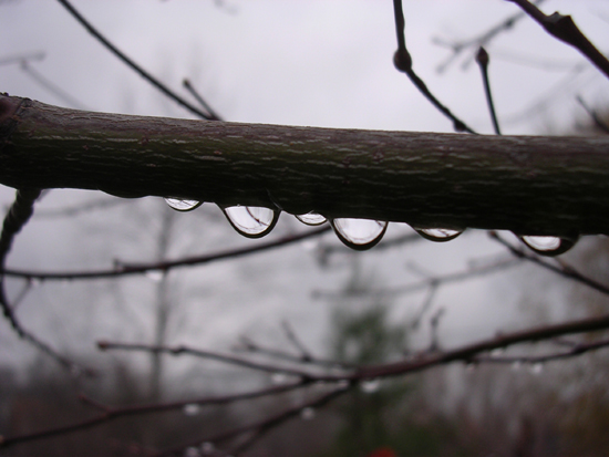 drops