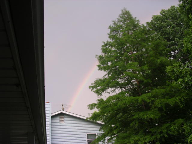 rainbow in the neighborhood