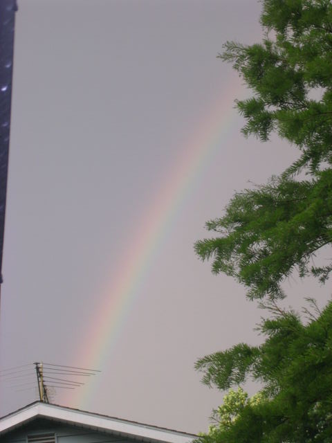 rainbow in the neighborhood