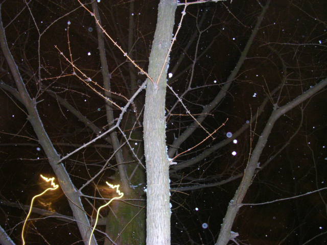 snowing