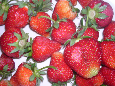 strawberries from our garden