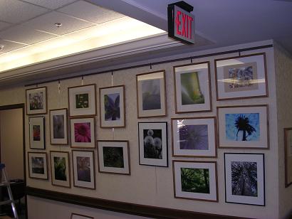 my photos being displayed at elyria united methodist village