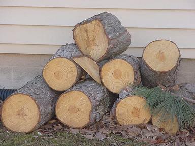 picture of logs