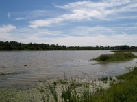 wetlands image