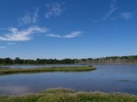 wetlands image